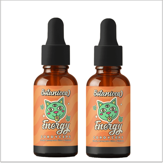 Kit Energia: 2 extratos cordyceps com 25%Off