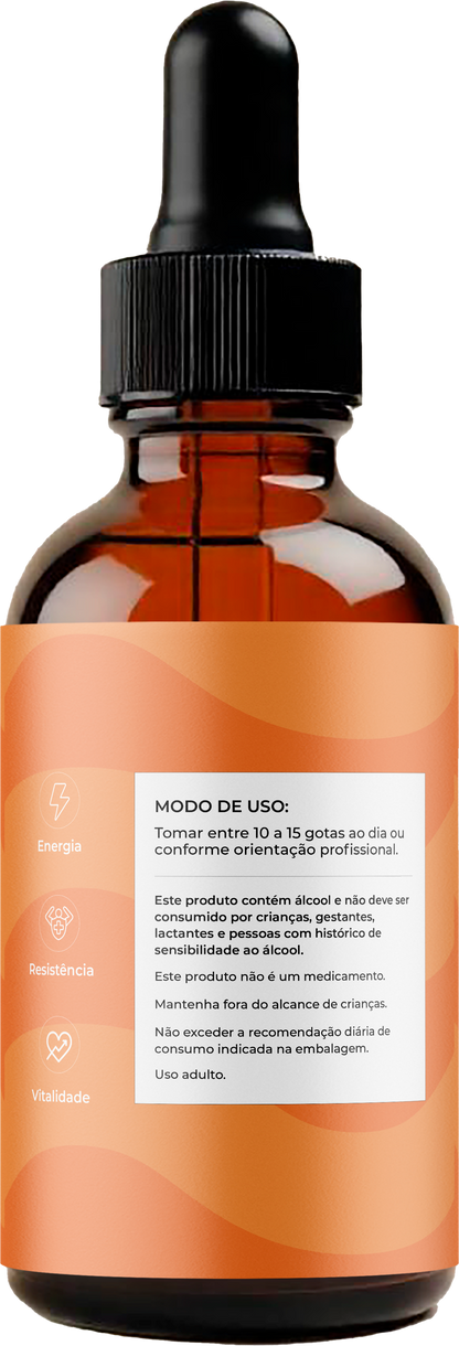 Kit Energy - 3 extratos cordyceps com 25%Off